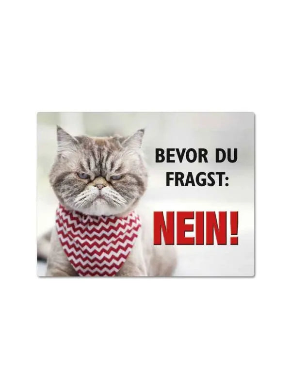 Magnet "Bevor du fragst: Nein!" mit Katze