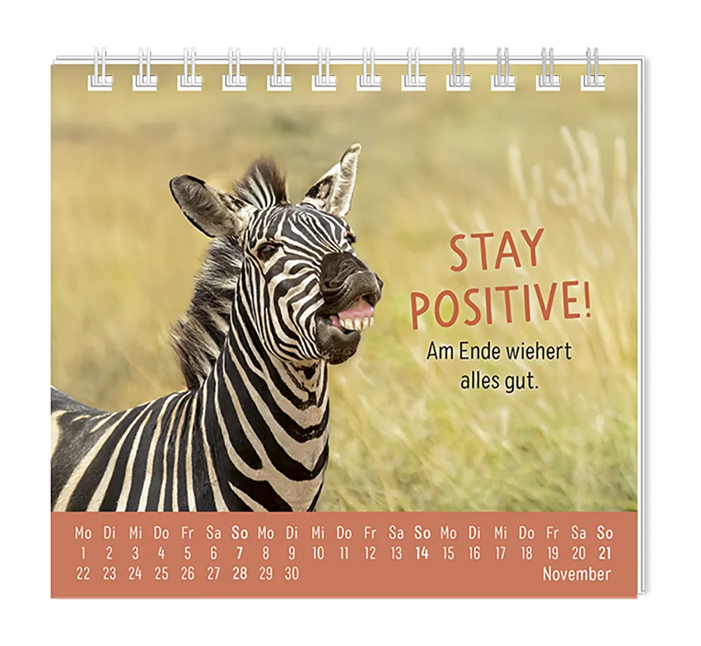 Mini Kalender - "Happymacher" - 2027 - Monat November - Spruch: "Stay positive! Am Ende wiehert alles gut. Design: Ein Zähne zeigendes Zebra auf einer Wiese.