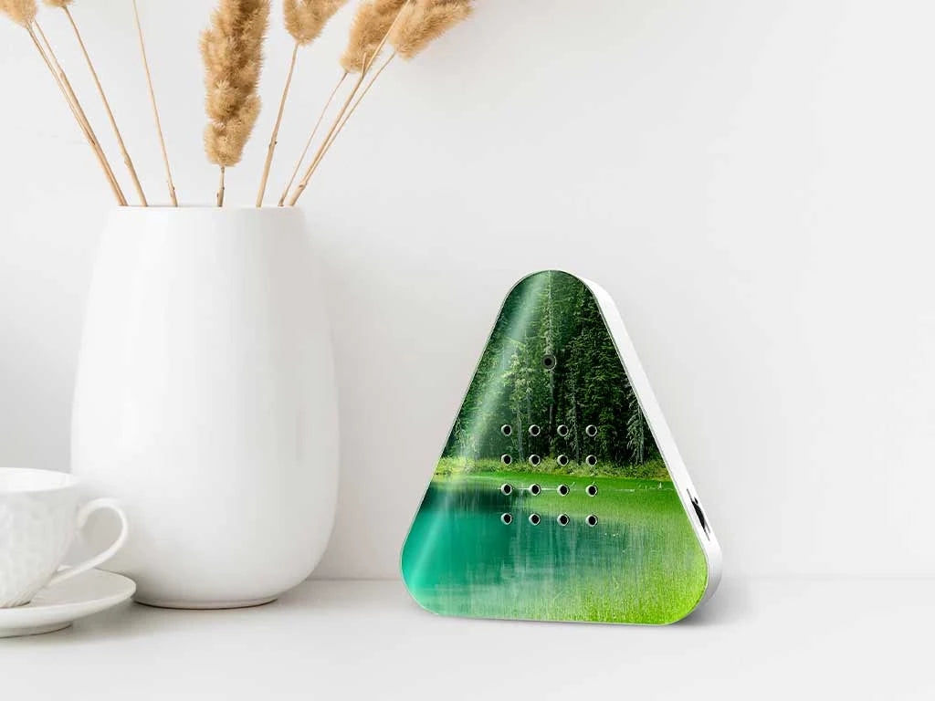 Zeigt die LakesideBox Waldsee auf einem Tisch mit einer Vase und Tasse Kaffee