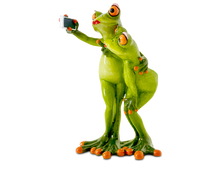 Formano Frosch Selfie, hellgrün - Froschhausen