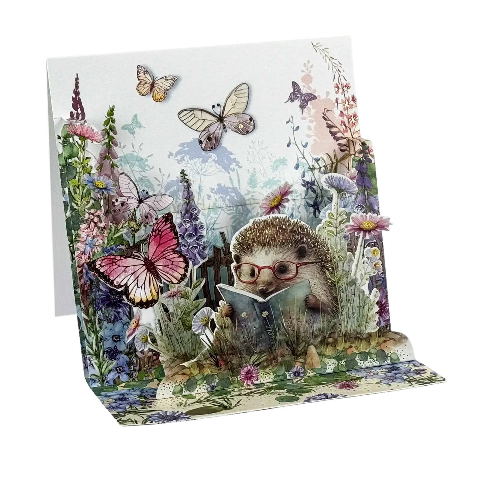 Pop-up Karte "Igel" von Pictura