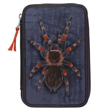 Adventure World 2 Fach Federtasche mit Spinnen-Motiv