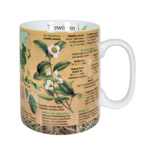 Könitz Wissensbecher "Teewissen"