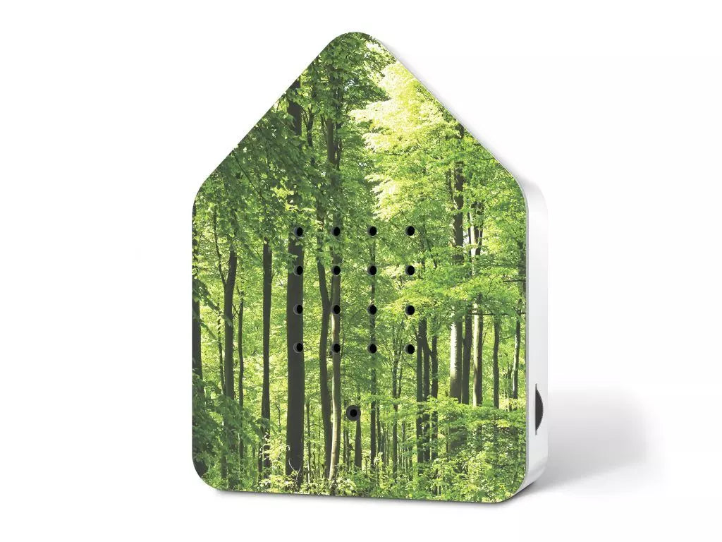 ZwitscherBox Wald (Forest)