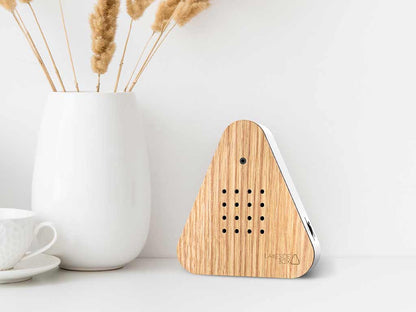 Zeigt die LakesideBox mit Holzfront aus Eiche auf einem Tisch mit einer Vase und Tasse Kaffee