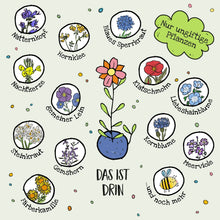Die Stadtgärtner – Blumenmurmeln in der Dose, 25 Stk.
