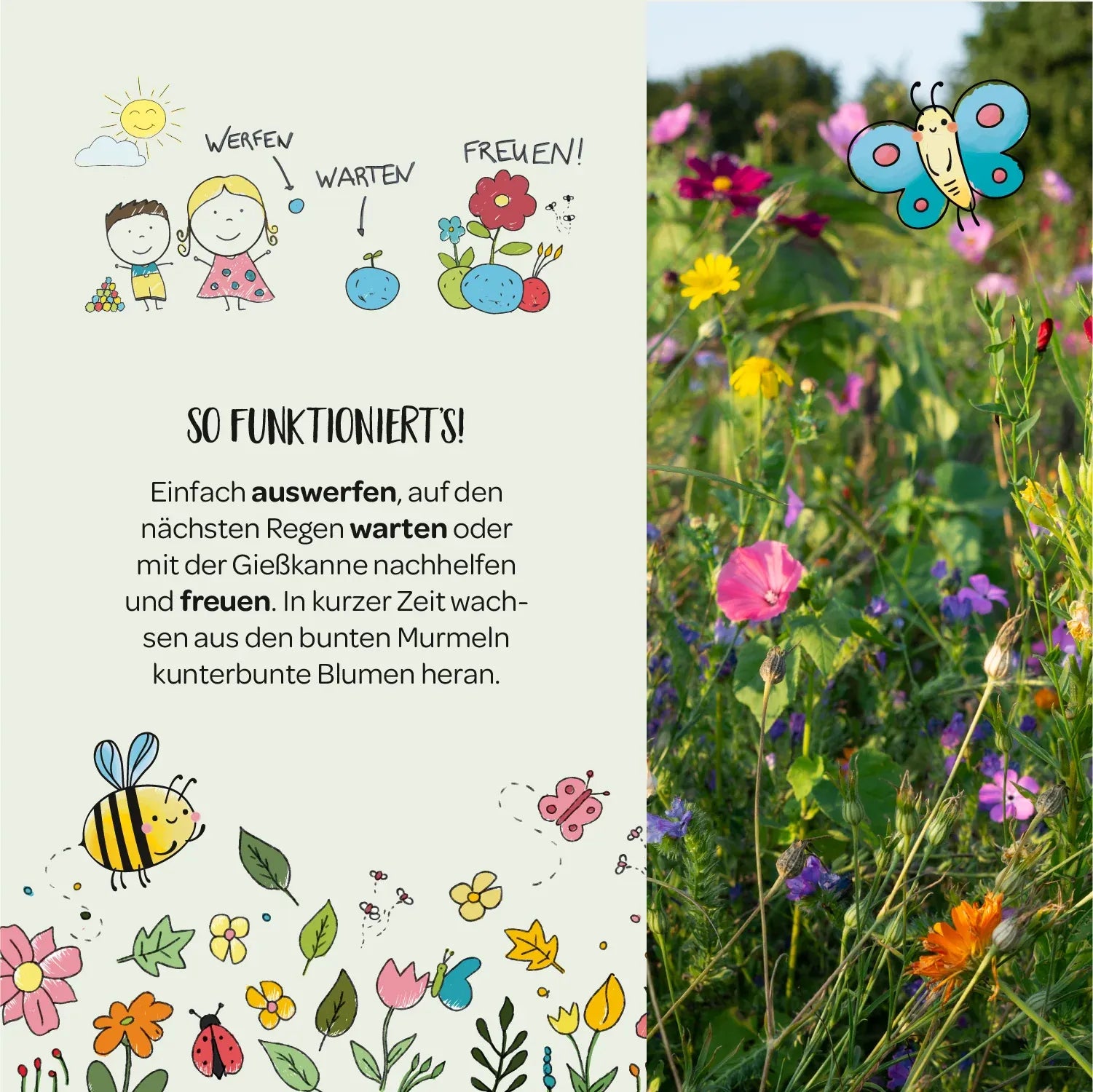 Die Stadtgärtner – Blumenmurmeln in der Dose, 25 Stk.