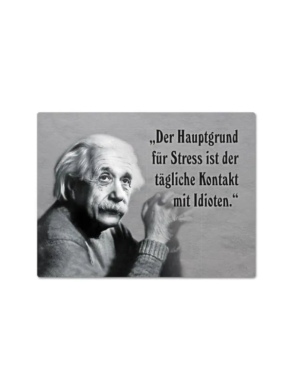 Magnet "Kontakt mit Idioten" mit Albert Einstein