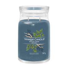 Yankee Candle Duftkerze - Bayside Cedar, Großes Glas