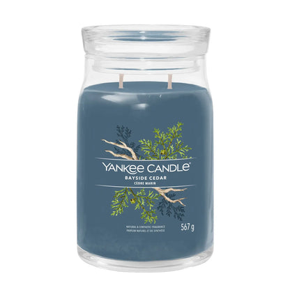 Yankee Candle Duftkerze - Bayside Cedar, Großes Glas