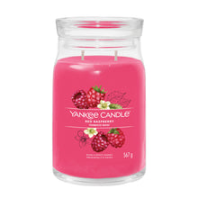 Yankee Candle Duftkerze - Red Raspberry, großes Glas
