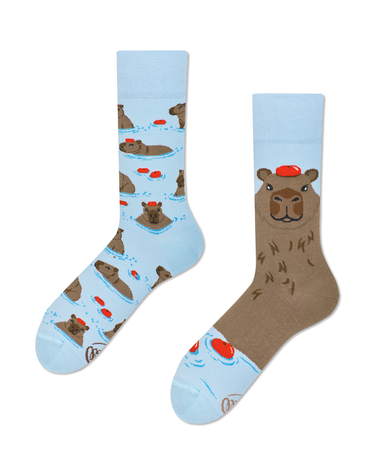 MM_Capybara_Regular_Pakshot_Web-1