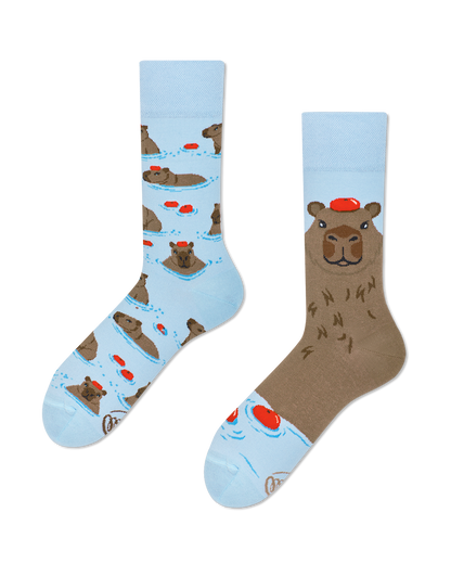 MM_Capybara_Regular_Pakshot_Web-1