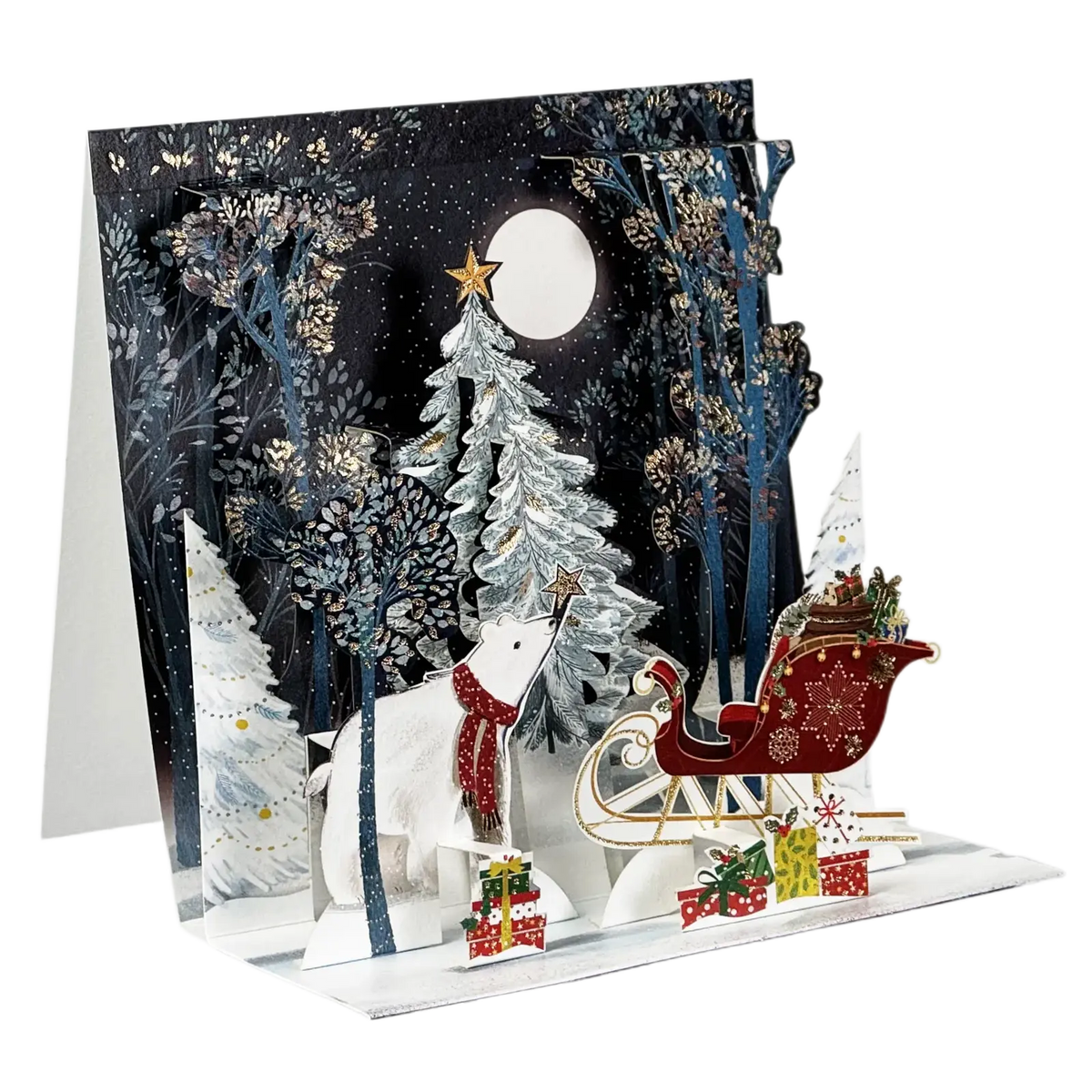pop-up-karte-winternacht-pictura-24057