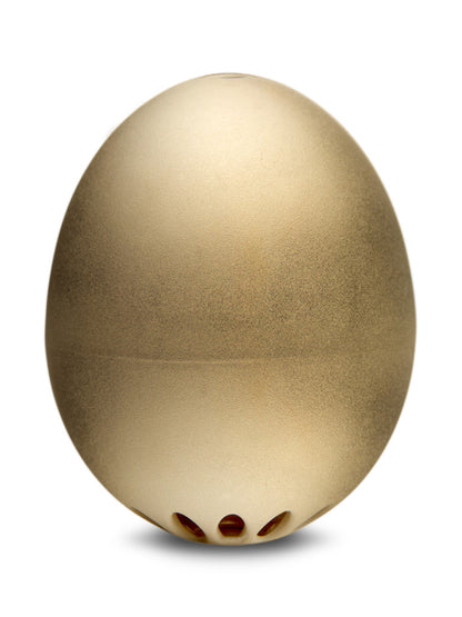 PiepEi_Gold_lose_1024.99d56305-d71c-4be7-9fe7-ba4d270e900a.jpg
