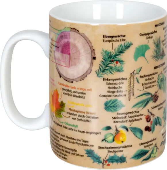 Könitz Wissensbecher "Bäume &amp; Umwelt"