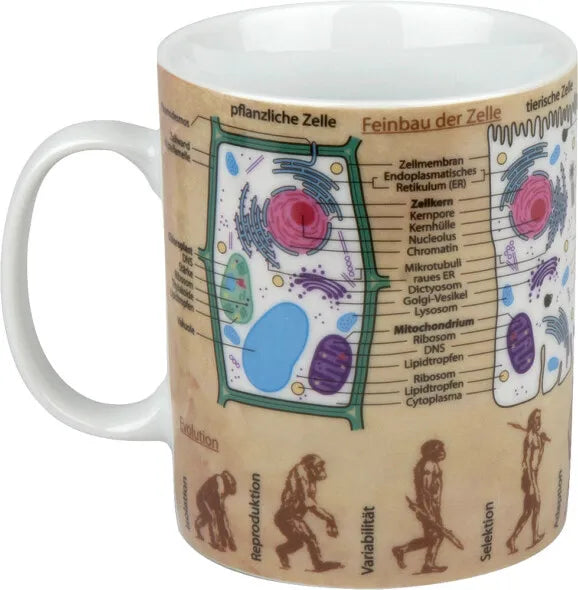 Könitz Wissensbecher "Biologie"