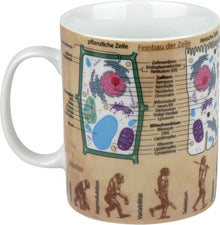 Könitz Wissensbecher "Biologie"