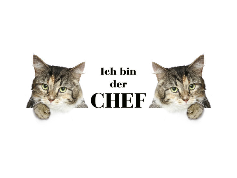 Emaillebecher "Ich bin der Chef"