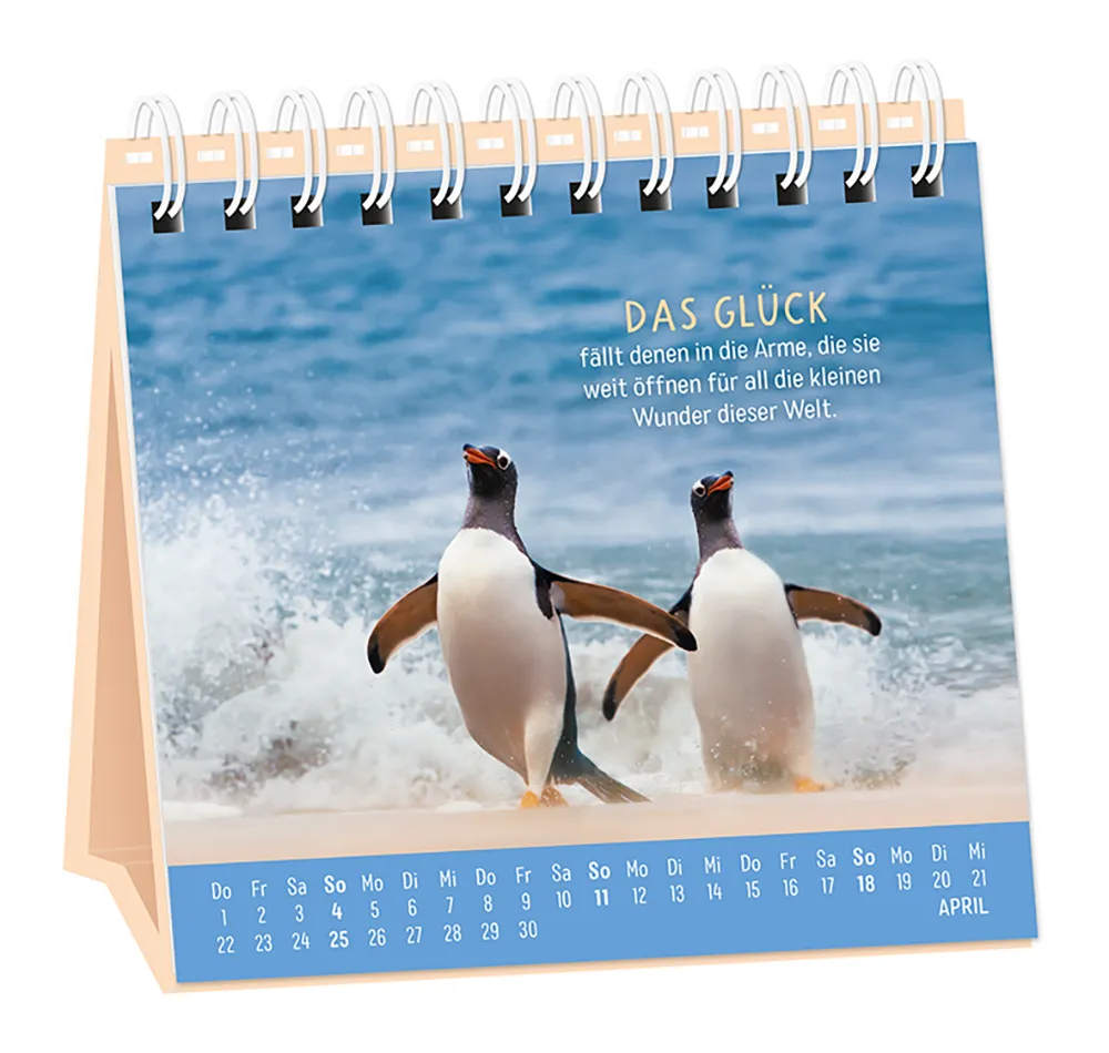 Tischkalender - "Happymacher" - 2027 - Monat April - Spruch "Das Glück fällt denen in die Arme, die sie weit öffnen für all die kleinen Wunder dieser Welt." Design: Zwei Pinguine an einem Sandstrand bei Wellengang.