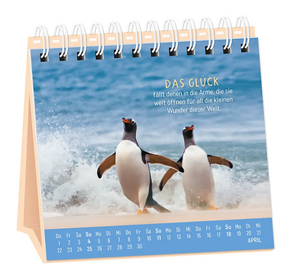 Tischkalender - "Happymacher" - 2027 - Monat April - Spruch "Das Glück fällt denen in die Arme, die sie weit öffnen für all die kleinen Wunder dieser Welt." Design: Zwei Pinguine an einem Sandstrand bei Wellengang.