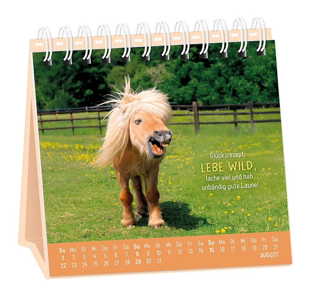 Tischkalender - "Happymacher" - 2027 - Monat August - Spruch: "Glücksrezept: Lebe Wild, lache viel und hab unabhängig gute Laune!" Design: Ein Pony mit wilder Mähne. welches wiehernd auf einer Wiese steht.