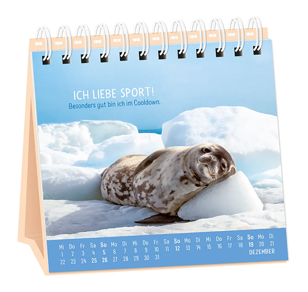 Tischkalender - "Happymacher" - 2027 - Monat Dezember - Spruch: "Ich liebe Sport! Besonders gut bin ich im Cooldown." Design: Eine Robbe, welche im Schnee am dösen ist.