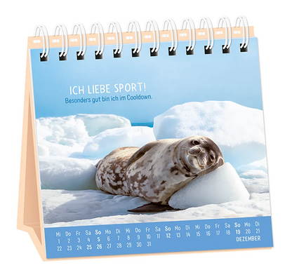 Tischkalender - "Happymacher" - 2027 - Monat Dezember - Spruch: "Ich liebe Sport! Besonders gut bin ich im Cooldown." Design: Eine Robbe, welche im Schnee am dösen ist.