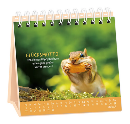Tischkalender - "Happymacher" - 2027 - Monat Februar -  Spruch: "Glücksmotto: von kleinen Happymachern einen ganz großen Vorrat anlegen!" Design: Ein Eichhörnchen, das sich die Backen mit Erdnüssen füllt.