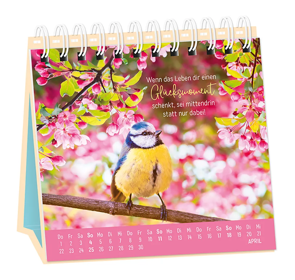 Tischkalender - "Extraportion Glück" - 2027 - Monat April - Spruch: "Wenn das Leben dir einen Glücksmoment schenkt, sei mittendrin statt nur dabei!" Design: Eine Blaumeise, die umringt von Blüten, au einem Ast sitzt. 