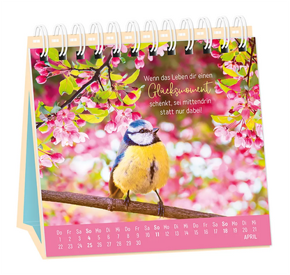 Tischkalender - "Extraportion Glück" - 2027 - Monat April - Spruch: "Wenn das Leben dir einen Glücksmoment schenkt, sei mittendrin statt nur dabei!" Design: Eine Blaumeise, die umringt von Blüten, au einem Ast sitzt. 