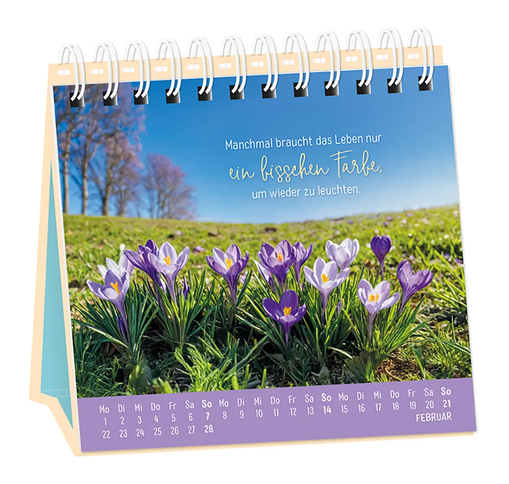 Tischkalender - "Extraportion Glück" - 2027 - Monat Februar -  Spruch: "Manchmal braucht das Leben nur ein bisschen Farbe, um wieder zu leuchten." Design: Einige blühende Frühlingskrokusse auf einer Wiese mit kahlen Bäumen im Hintergrund.