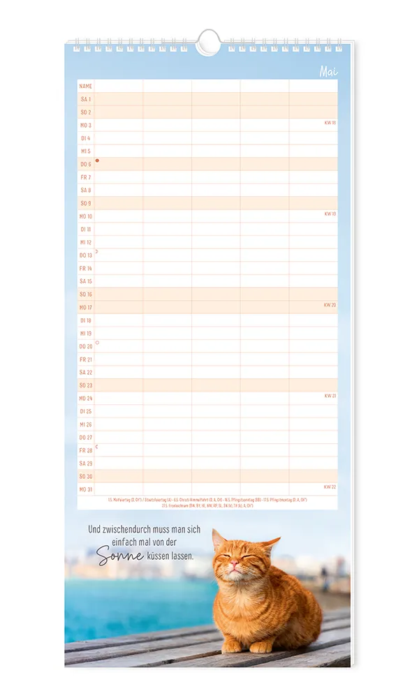 Familienplaner - "Samtpfoten" - 2027 -  Monat Mai - Spruch: Eine orangene Katze, die entspannt auf einer Holzbank liegt