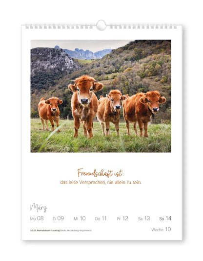 Wochenkalender - "Lebensweisheiten" - 2027 - Spruch: Freundschaft ist: das leise Versprechen, nie allein zu sein." Bild: Eine Gruppe brauner Kühe auf einer Wiese