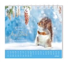 Mini Kalender - "Eine Extraportion Glück für dich!" - 2027 -  Monat Januar - Spruch: "Es gibt diese Tage, an denen das Glück einfach so vor deiner Nase baumelt." Design: Ein Eichhörnchen in einer Schneelandschaft, das auf einen länglichen Kiefernzapfen schaut.