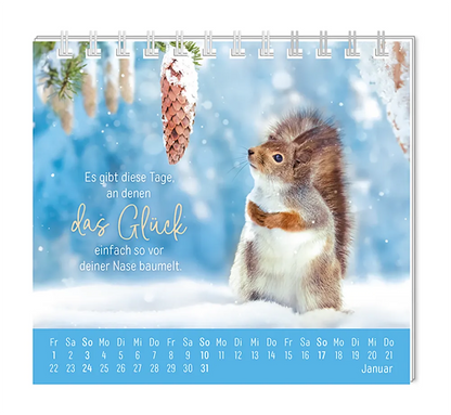 Mini Kalender - "Eine Extraportion Glück für dich!" - 2027 -  Monat Januar - Spruch: "Es gibt diese Tage, an denen das Glück einfach so vor deiner Nase baumelt." Design: Ein Eichhörnchen in einer Schneelandschaft, das auf einen länglichen Kiefernzapfen schaut.