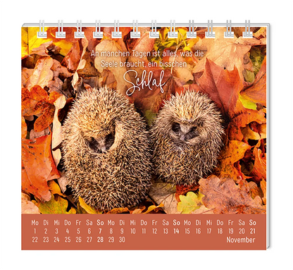 Mini Kalender - "Eine Extraportion Glück für dich!" - 2027 -  Monat November - Spruch: "An manchen Tagen ist alles was die Seele braucht, ein bisschen Schlaf." Design: Zwei eingerollte Igel im Herbstlaub. 