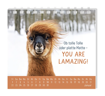 Mini Kalender - "Happymacher" - 2027 - Monat Januar - Spruch: "Ob tolle Tolle oder platte Matte - You are Lamazing!" Design: Ein Lama mit schicker Frisur in einer Schneelandschaft.