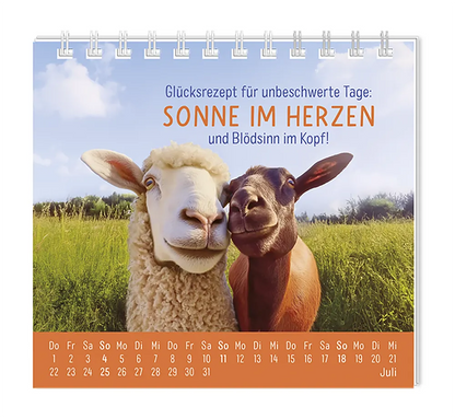 Mini Kalender - "Happymacher" - 2027 - Monat Juli - Spruch: "Glücksrezept für unbeschwerte Tage: Sonne im Herzen und Blödsinn im Kopf!"  Design: Zwei aneinander gekuschelte Schafe auf einer Wiesenlandschaft