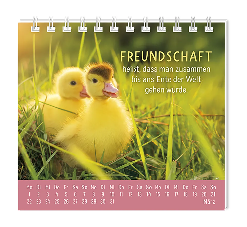 Mini Kalender - "Happymacher" - 2027 - Monat März - Spruch "Freundschaft heißt, dass man zusammen bis ans Ente der Welt gehen würde." Design: Zwei Entenküken, die durch Gras watscheln."