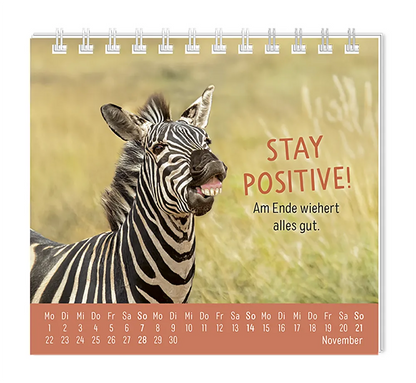 Mini Kalender - "Happymacher" - 2027 - Monat November - Spruch: "Stay positive! Am Ende wiehert alles gut. Design: Ein Zähne zeigendes Zebra auf einer Wiese.