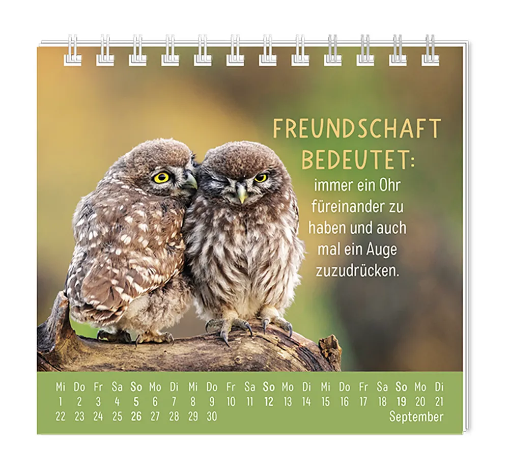 Mini Kalender - "Happymacher" - 2027 - Monat September - Spruch: "Freundschaft bedeutet: immer ei Ohr füreinander zu haben und auch mal ein Auge zudrücken." Design: Zwei aneinander gekuschelte Eulen, die auf einem Ast sitzen.