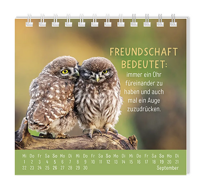 Mini Kalender - "Happymacher" - 2027 - Monat September - Spruch: "Freundschaft bedeutet: immer ei Ohr füreinander zu haben und auch mal ein Auge zudrücken." Design: Zwei aneinander gekuschelte Eulen, die auf einem Ast sitzen.
