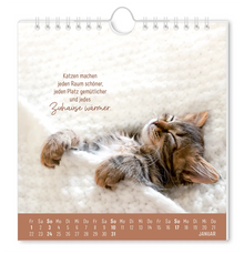 Postkartenkalender - "Auf leisen Pfoten" - 2027 - Monat Januar - Ein kleines Kätzchen liegt zugedeckt auf seinem Rücken mit dem Spruch "Katzen machen jeden Raum schöner, jeden Platz gemütlicher und jedes Zuhause wärmer."