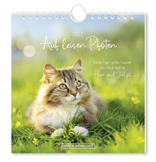 Postkartenkalender - "Auf leisen Pfoten" - 2027 - Titelblatt - Eine Katze liegt entspannt auf einer Wiese mit dem Spruch "Kleine Tiger, große Träume! Das Glück liegt im Hier und Jetzt.“