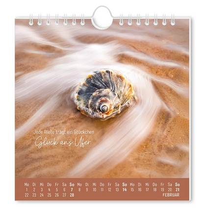 Postkartenkalender - "Strandgut" - 2027 - Monat Februar - Eine Muschel in sehr flachen Wasser mit dem Spruch "Jede Welle trägt ein Stückchen Glück ans Ufer."