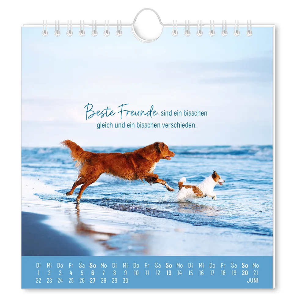 Postkartenkalender - "Strandgut" - 2027 - Monat Juni - 2 Hunde die gemeinsam ins Meer laufen, mit dem Spruch "Beste Freunde sind in bisschen gleich und ein bisschen verschieden."