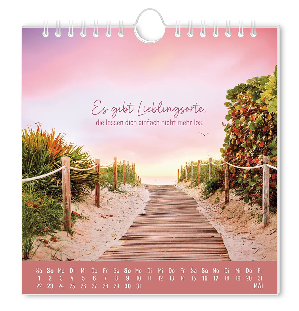 Postkartenkalender - "Strandgut" - 2027 - Monat Mai - Ein Weg aus Holzplanken zum Stand mit Pflanzen auf beiden Seiten und Rosa Wolken mit dem Spruch "Es gibt Lieblingsorte, die lassen dich einfach nicht mehr los."