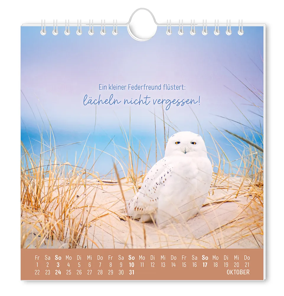 Postkartenkalender - "Strandgut" - 2027 - Monat Oktober - Eine Weiße Eule, die am Strand sitzt mit dem Spruch "Ein keiner Federfreund flüstert: lächeln nicht vergessen!"