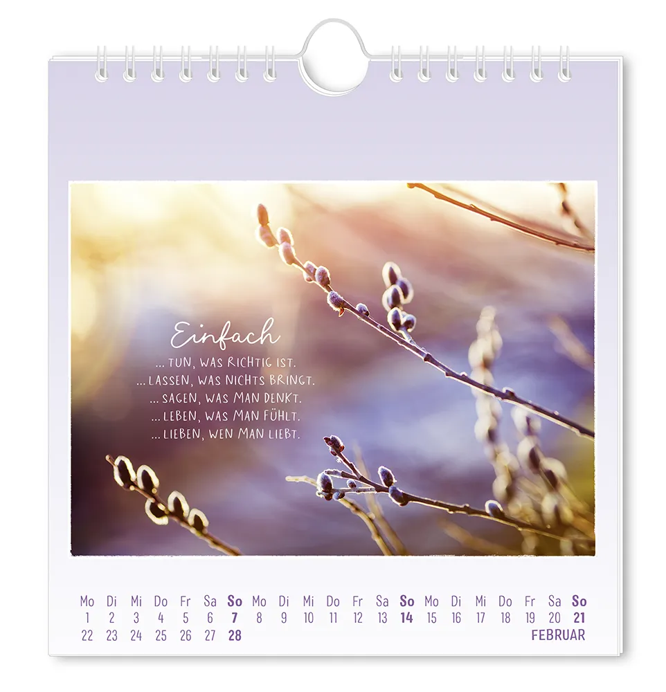 Postkartenkalender - 2027 - "Traumtage" - Monat Februar - Einige Zweige mit dem Spruch "Einfach ...tun, was Richtig ist. ...lassen, was nichts bringt. ...sagen was man denkt. ... Lieben, was an fühlt. ...lieben, was man liebt."
